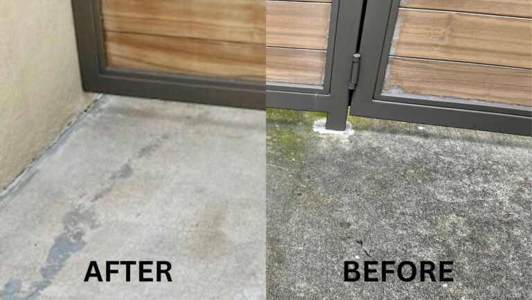 Side Gate Pressure Washing Before and After - OC Home Services